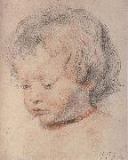 Peter Paul Rubens Rubens-s son France oil painting artist